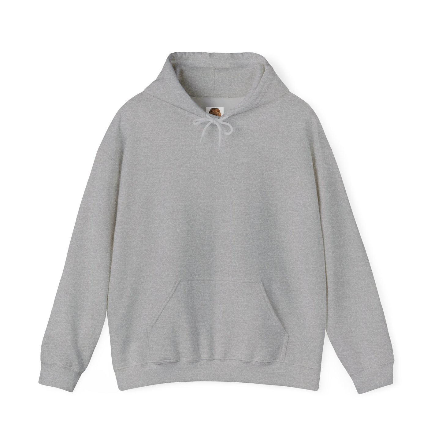 Women's Big Cats Trio Hoodie - Cheetah, Lion, and Tiger