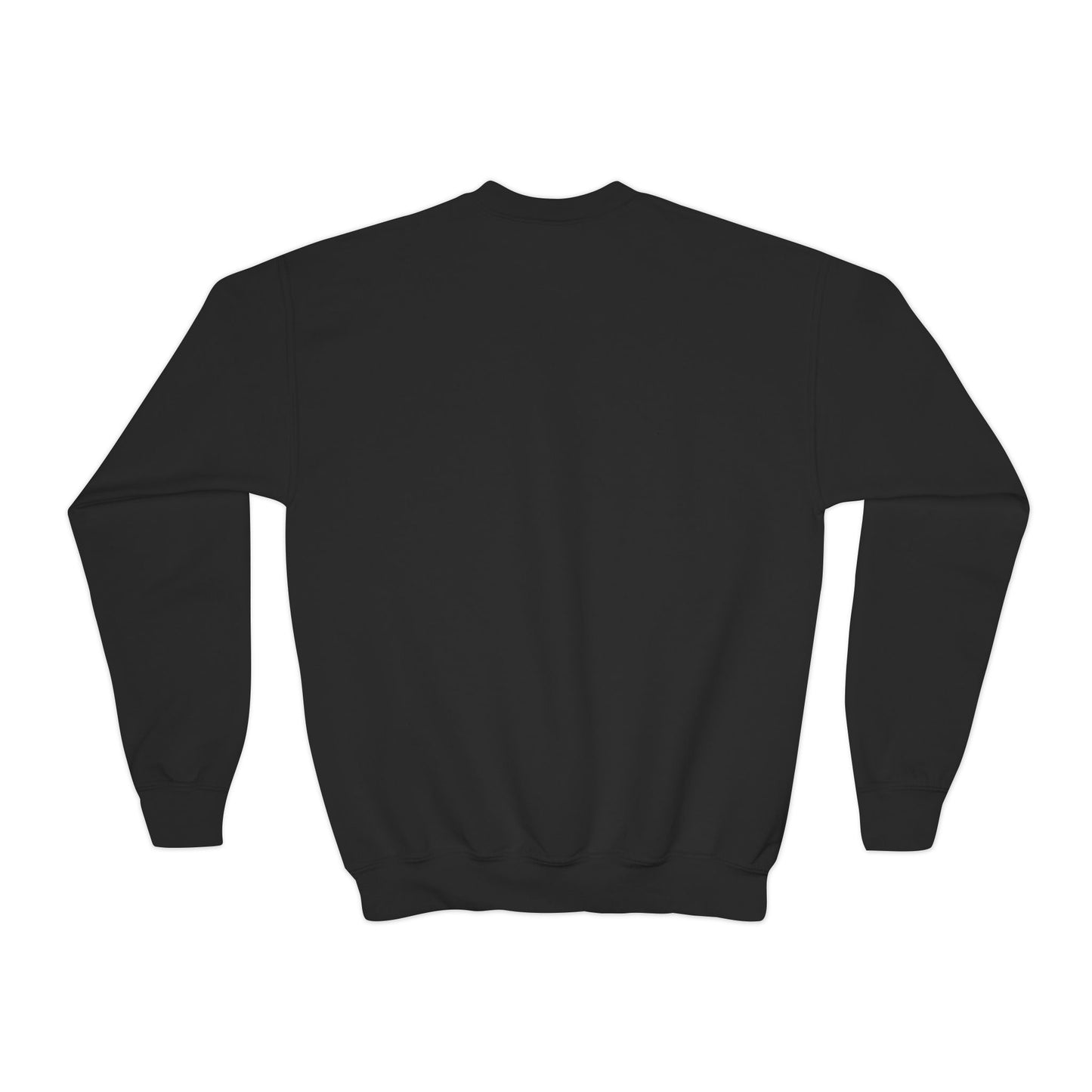 Boy's Big Cats Tiger Sweatshirt